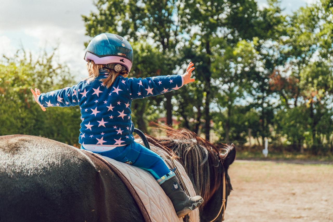 training_horse